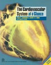 NewAge The Cardiovascular System at a Glance